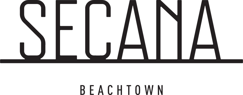 SECANA Logo Text
